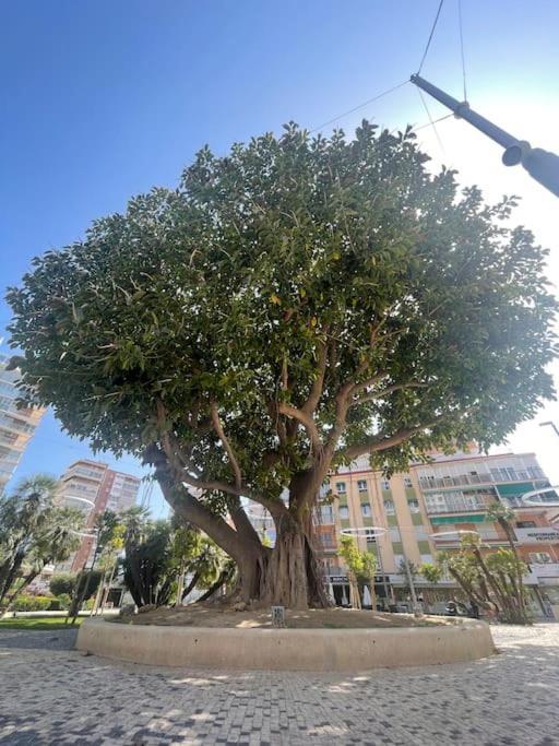 Apartmán Inmejorable Ubicacion,70M Playa 70M Pueblo Benidorm Exteriér fotografie